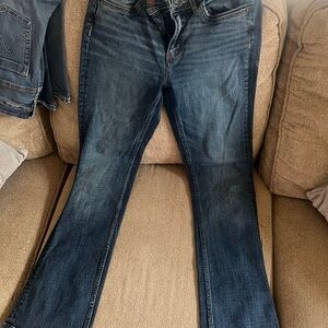 BKE Dark Blue Bootcut Women's Jeans- Payton